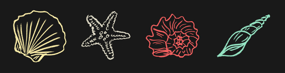 Seashell Icons Crayon Chalk Drawing Doodle Vector Set © Grunge Designs
