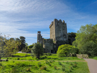 Ancient stone castle ruins in a green park © Studio-M
