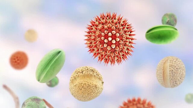 Pollen grains, 3D animation showing various airborne pollen particles of different shapes and surface textures slowly drifting in air, associated with plant reproduction and seasonal allergies.