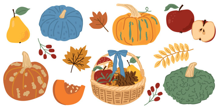 Autumn harvest pumpkin patch clipart bundle with colorful pumpkins, apples and wicker basket for thanksgiving decor