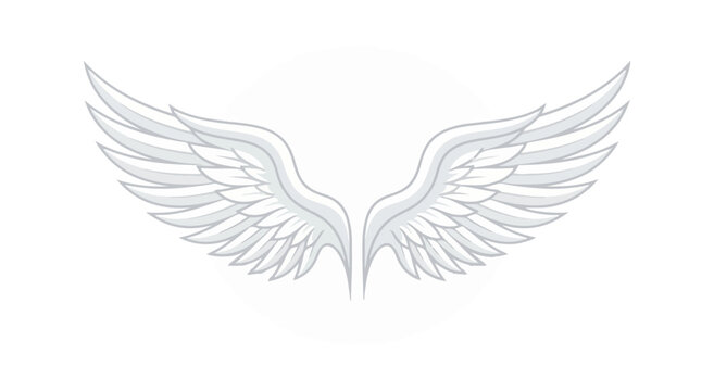 Elegant White Wings Illustration with Soft Gray Details