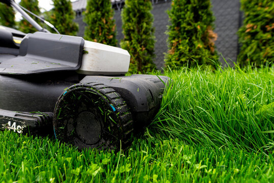 Electric lawnmower cutting overgrown wet grass in garden