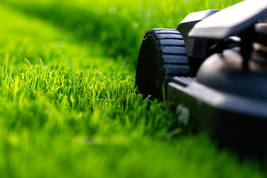 Electric lawn mower cutting tall overgrown backyard grass