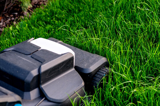 Electric lawn mower cutting overgrown grass in backyard