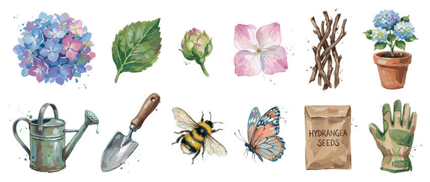 Gardening and nature icons set. Hydrangea flowers and garden tools concept. Includes hydrangea bloom, leaf, bud, single flower, branches, potted plant, watering can, trowel, bee, butterfly,