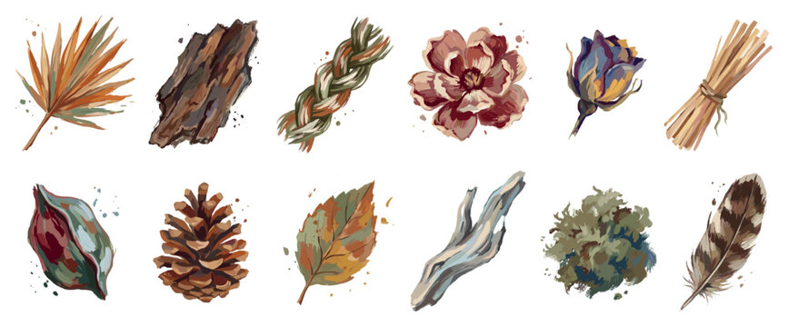 Nature elements icons set. Organic and natural objects concept. Includes palm leaf, tree bark, braided rope, flower, rosebud, straw, seed pod, pinecone, autumn leaf, driftwood, moss,