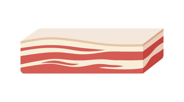 A flat vector illustration of a raw pork belly slab