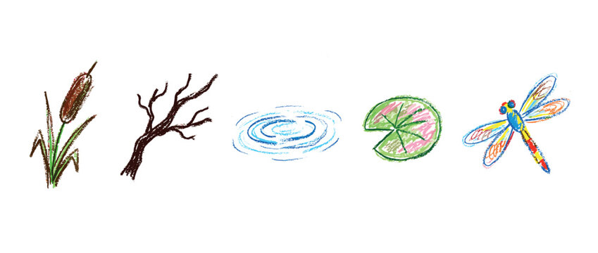Nature elements icons set. Pond and wetland life concept. Includes cattail, tree branch, water ripples, lily pad, dragonfly. Crayon drawing style