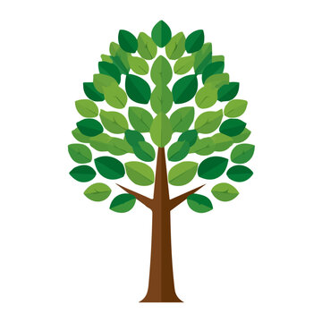Hazelnut Tree, simple flat 2D artwork with minimal details, isolated on a white background.