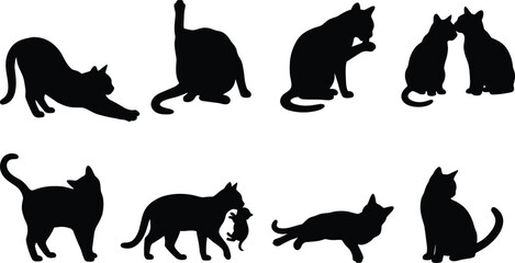 Domestic cat silhouettes icon set showing felines in various grooming playing and carrying kitten behaviors on white background © Sirajul