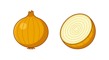 A whole yellow onion and a half onion on a white background © avatar