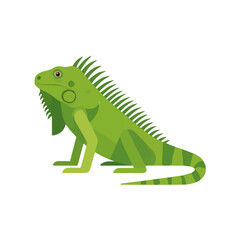 Obraz premium Clean flat 2D illustration of Iguana, simple contemporary design, isolated on a white background.