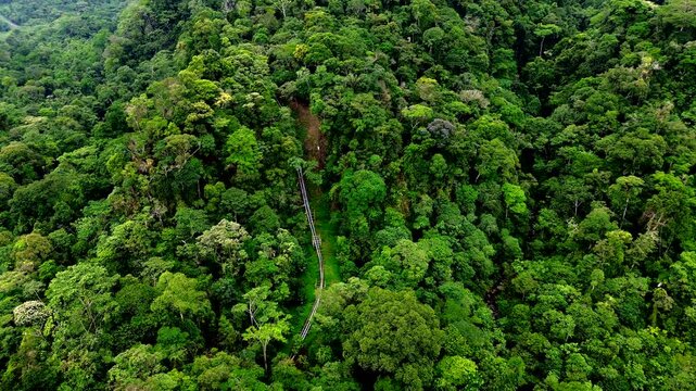 Aerial View of Narrow Road Winding Through Dense Tropical Rainforest in Ecuador, Green Canopy, Remote Jungle Route and Andean Amazon Travel Landscape