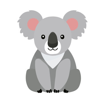 Koala, flat 2D graphic illustration in a modern minimal style, isolated on a white background.