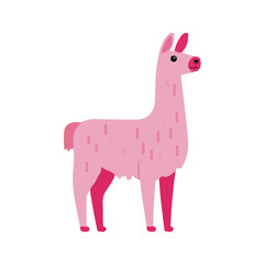 Fototapeta premium Flat 2D illustration of Llama, simple modern design, isolated on a white background.