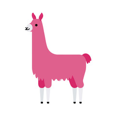 Obraz premium Llama, minimal flat 2D illustration with smooth shapes, isolated on a white background.