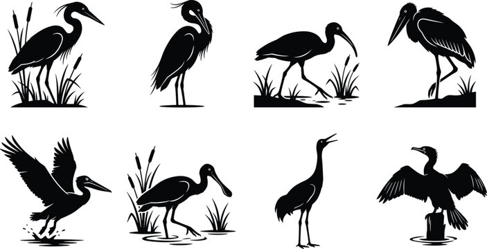 Water birds silhouette vector icon set featuring heron pelican crane ibis spoonbill cormorant stork and wetland wildlife illustrations