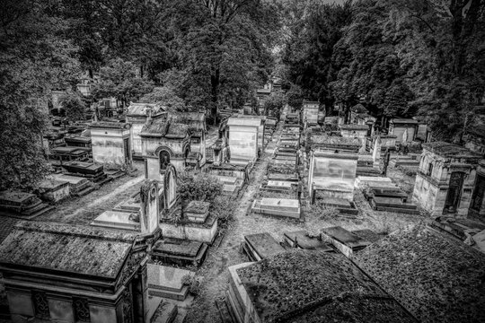 A black and white photograph of Cimetiere de Montmartre in Paris, France, showcasing rows of historic graves and monuments surrounded by lush trees.