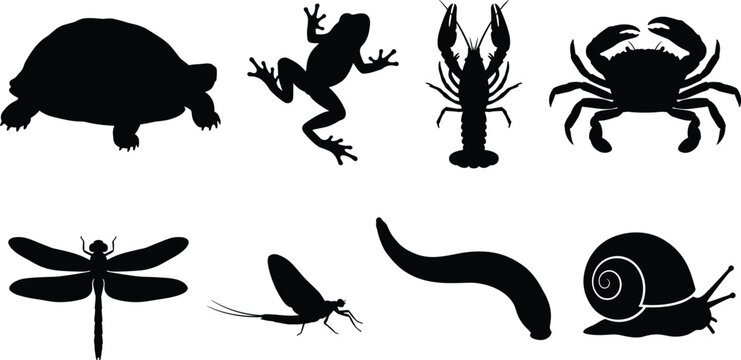 Black animal silhouette collection featuring turtle frog lobster crab dragonfly mosquito snake and snail isolated on white background