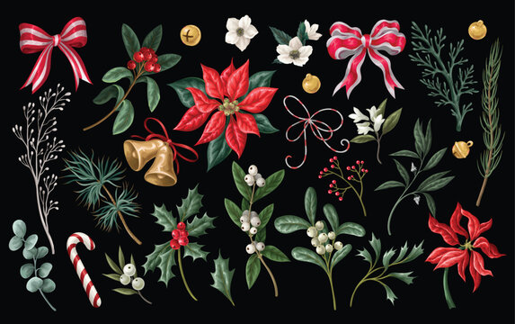 Christmas Botanical Elements Collection with Poinsettia Holly Ribbons Bells Isolated Vintage Floral Set