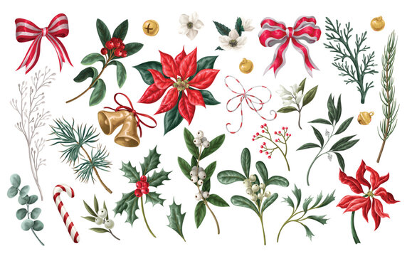 Christmas Botanical Elements Collection with Poinsettia Holly Ribbons Bells Isolated Vintage Floral Set