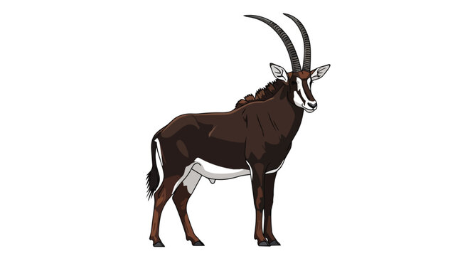 Majestic Sable Antelope African Safari Animal Illustration with Curved Horns and Black Fur Isolated on White