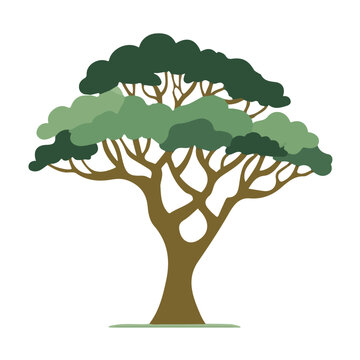Juniper Tree, minimal flat 2D illustration with smooth shapes, isolated on a white background.