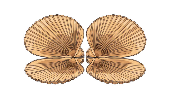 Scallop Shells Symmetrical Marine Collection Graphic Design for Seafood Menu Coastal Decor and Ocean Nature Element