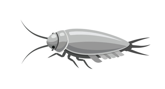 Common Silverfish Lepisma Saccharina Bristletail Insect Graphic for Domestic Pest Management and Science Education