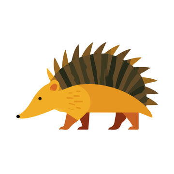 Hedgehog Tenrec, simple flat 2D artwork with minimal details, isolated on a white background.