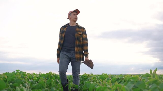 A man stands in a field, observing the horizon soybeans soy. The man holds a tool while surrounded by green crops under a cloudy sky.