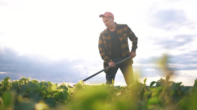 A man works in a field, using a tool to tend to the crops. The man appears focused amidst the vibrant green plants under a cloudy sky.