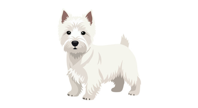 Adorable West Highland White Terrier Dog Standing Illustration Isolated on White Background for Pet Lovers Design