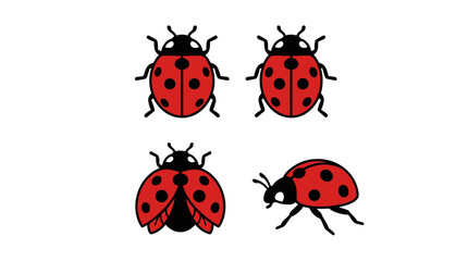 Four red ladybug vector illustrations on a white background © hermawan