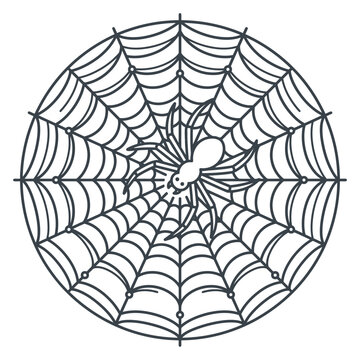 Small spider on a circular web line art.