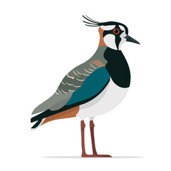 Obraz premium Simple flat 2D illustration of Lapwing, modern minimalist artwork, isolated on a white background.