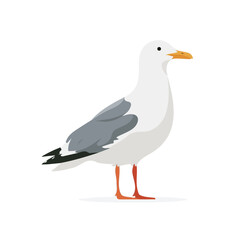 Obraz premium Seagull, flat 2D graphic illustration in a modern minimal style, isolated on a white background.