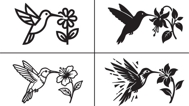 Collection of four hummingbird designs with flowers in black and white
