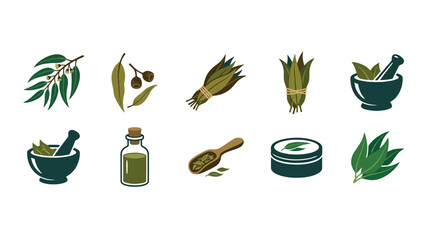 Natural eucalyptus herbal medicine and skincare icon set © ipan