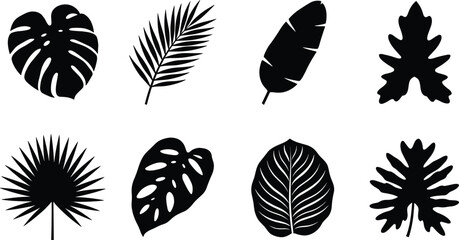 Collection of tropical leaves silhouettes isolated on white background vector illustration © Mahsina
