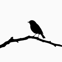 Fototapeta premium Black bird silhouette, perched on branch, birdwatching icon, wildlife symbol isolated on White Background silhouette