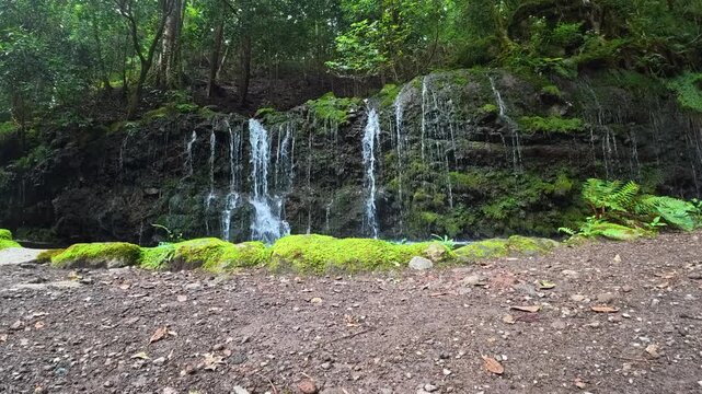 神奈川県箱根で撮影した千条の滝
