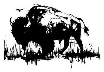American bison or buffalo silhouette in prairie, hand drawn ink style, wild animal wildlife sketch © Luka