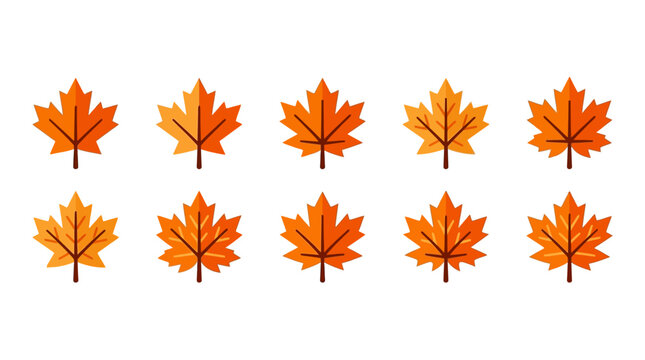 Set of ten orange maple leaf icons on white background