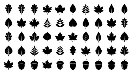 Collection of various leaf and acorn silhouettes. © Abhinaya Project