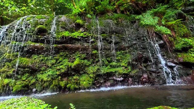 神奈川県箱根で撮影した千条の滝
