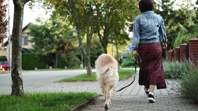 Girl Walking With An Adorable Dog By The Pathway Outdoors In Slow Motion
