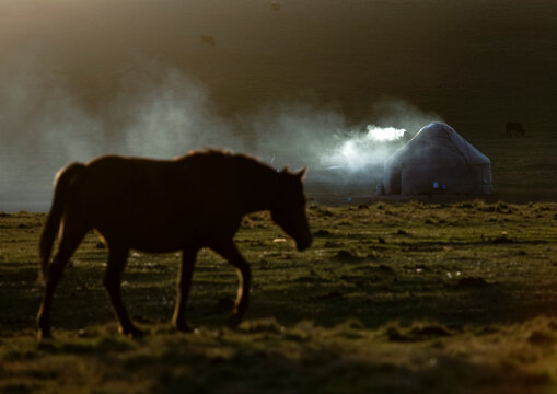 Horse In Front Of A Smoking Yurt In Jaman Echki Jailoo Village, Song Kol Lake Area, Kyrgyzstan