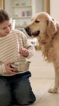 Happy Smiling Girl Playing And Feeding Dry Food To Adorable Golden Retriever Dog At Home, Vertical Video
