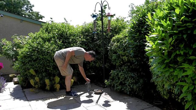 A man pours water for birds to drink on a hot day. Ornithology picture showing the importance of giving water for birds in hot weather. Wildlife drinking and hydration. 